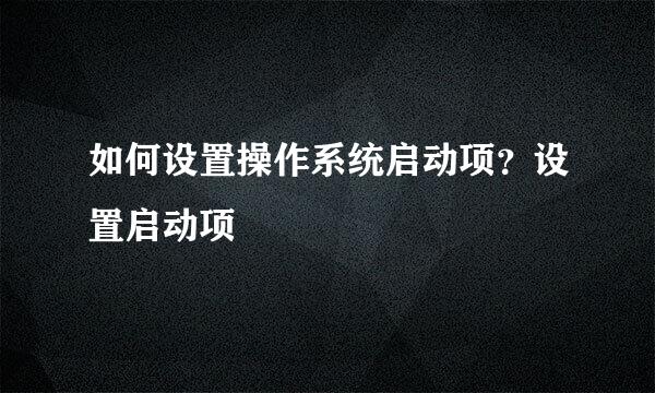 如何设置操作系统启动项？设置启动项