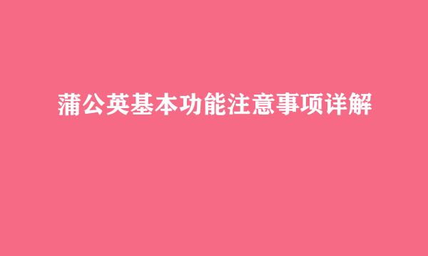 蒲公英基本功能注意事项详解
