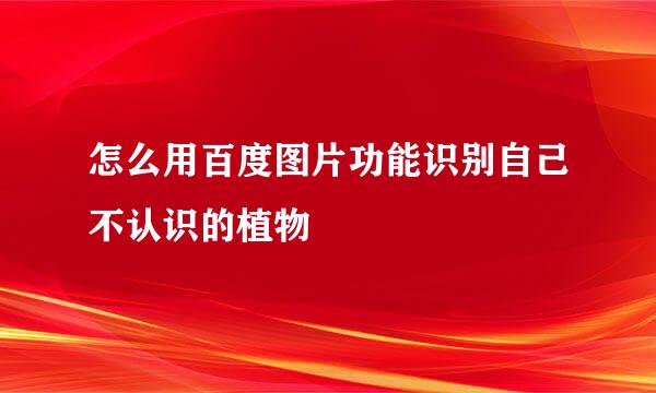 怎么用百度图片功能识别自己不认识的植物
