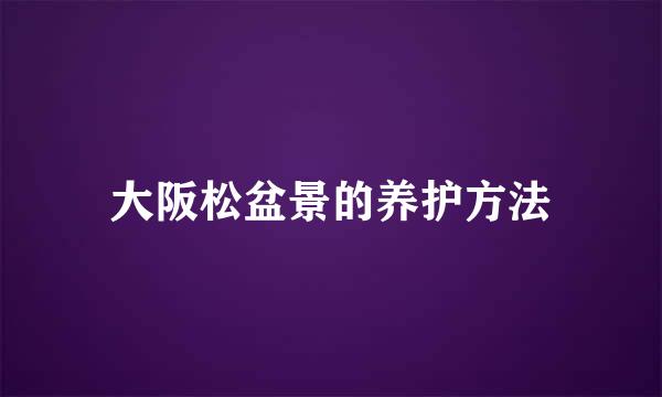 大阪松盆景的养护方法