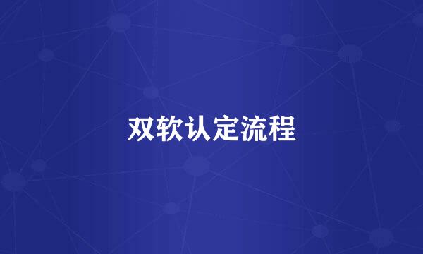 双软认定流程