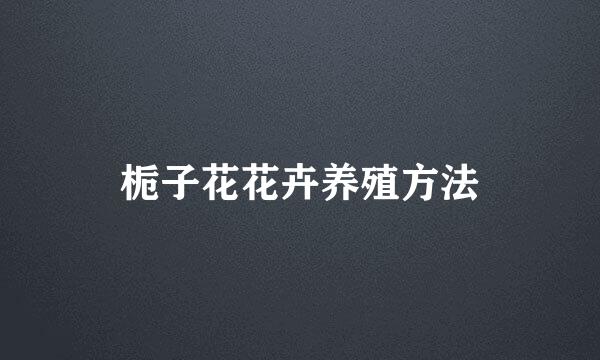 栀子花花卉养殖方法