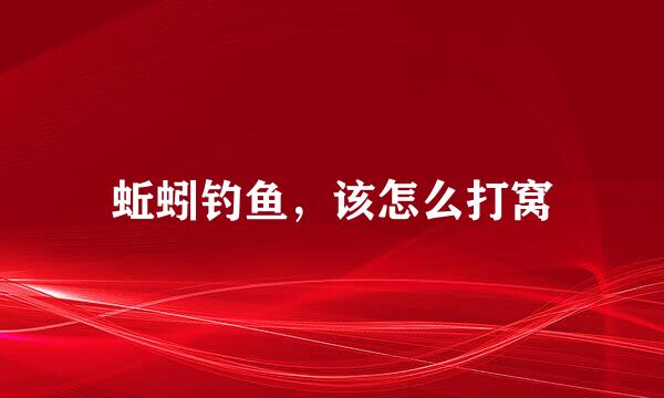 蚯蚓钓鱼，该怎么打窝