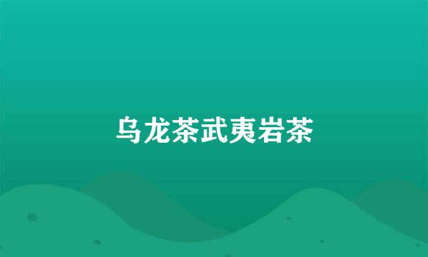 乌龙茶武夷岩茶