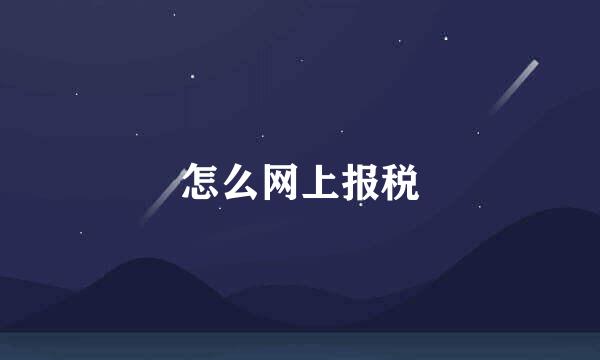 怎么网上报税