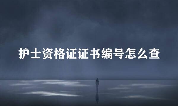 护士资格证证书编号怎么查