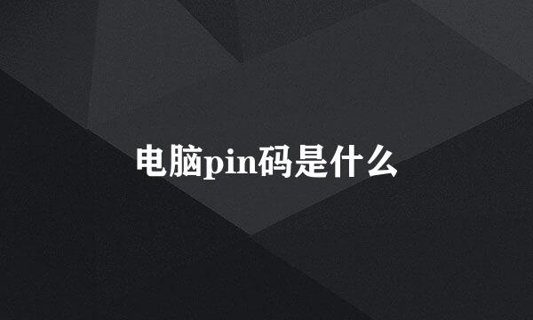 电脑pin码是什么