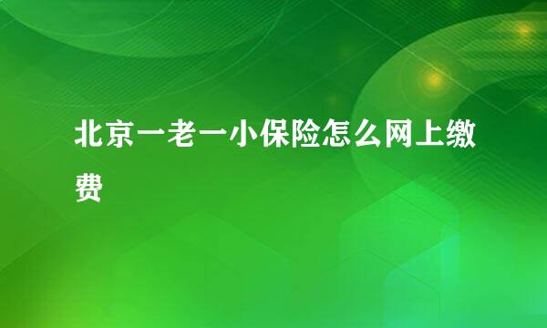 北京一老一小保险怎么网上缴费