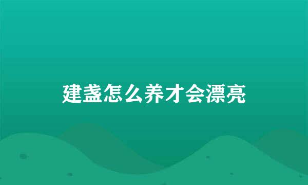 建盏怎么养才会漂亮
