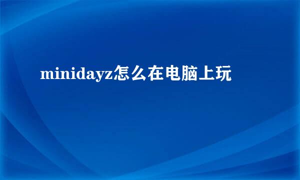 minidayz怎么在电脑上玩