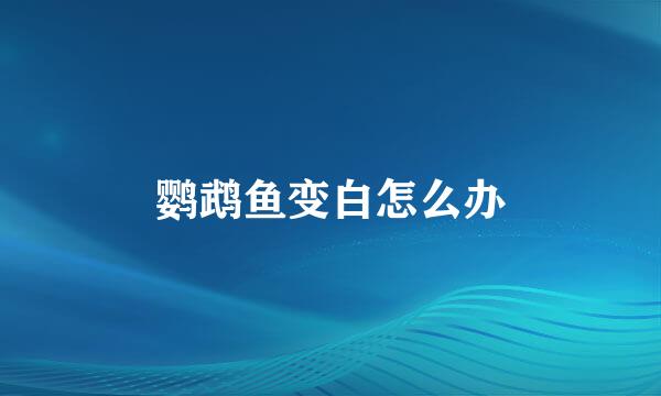 鹦鹉鱼变白怎么办