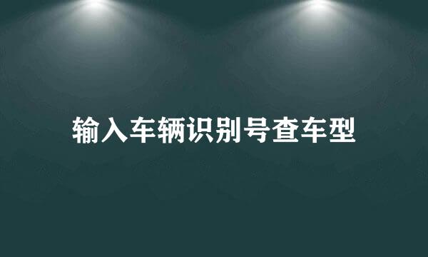 输入车辆识别号查车型
