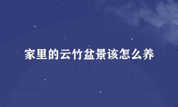 家里的云竹盆景该怎么养