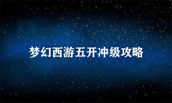 梦幻西游五开冲级攻略