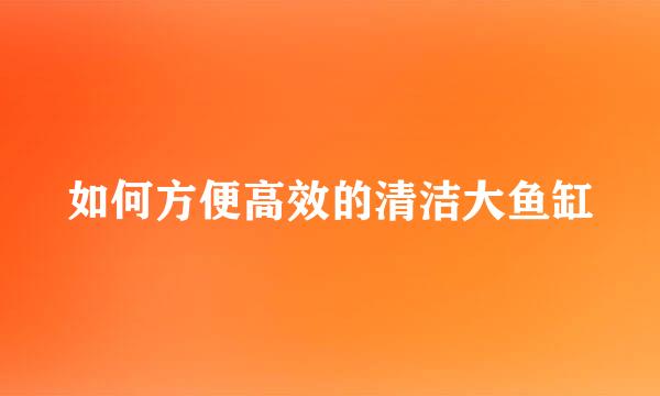 如何方便高效的清洁大鱼缸