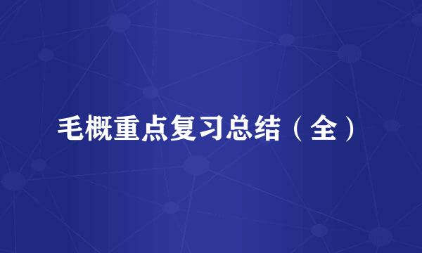 毛概重点复习总结（全）