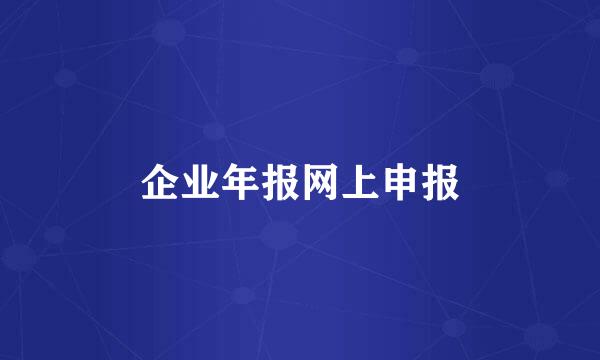 企业年报网上申报