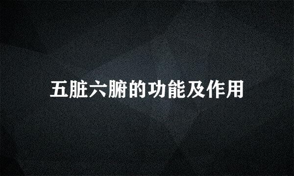 五脏六腑的功能及作用