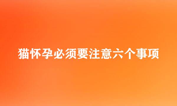 猫怀孕必须要注意六个事项