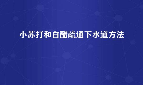 小苏打和白醋疏通下水道方法