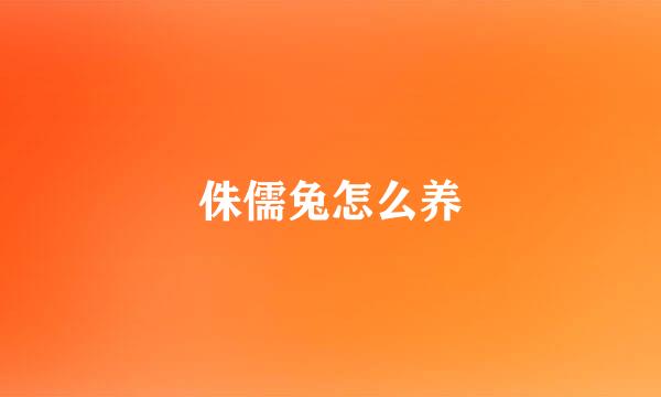 侏儒兔怎么养