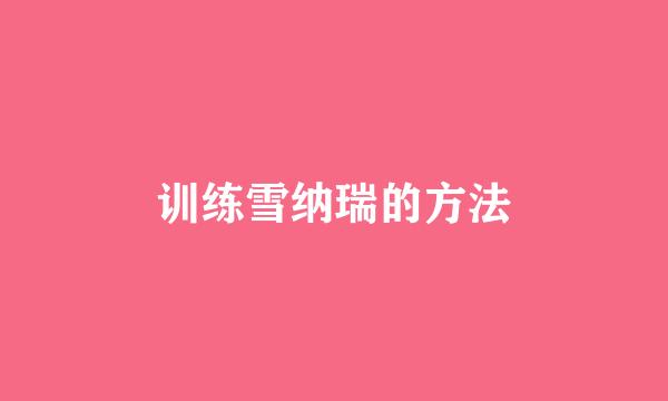 训练雪纳瑞的方法