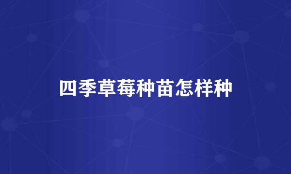 四季草莓种苗怎样种