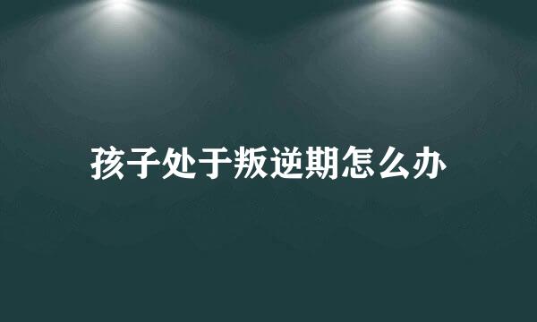 孩子处于叛逆期怎么办