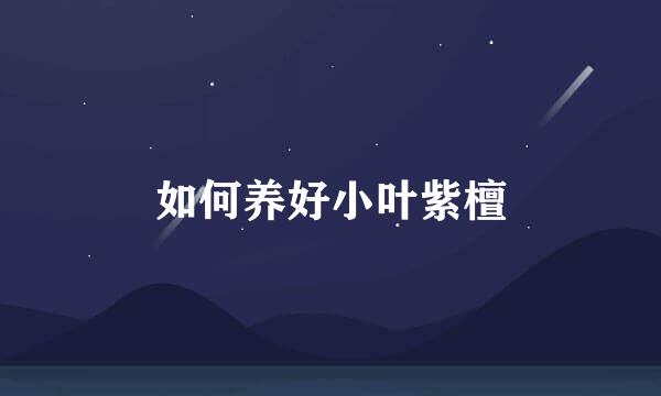 如何养好小叶紫檀