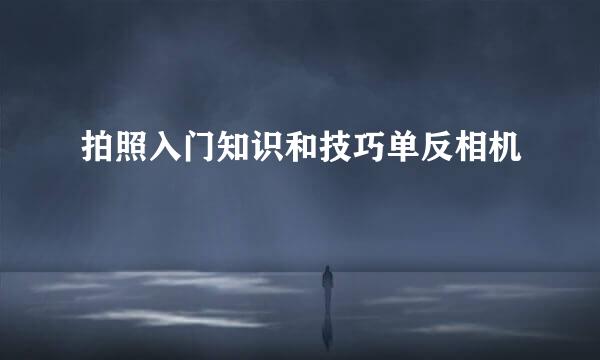 拍照入门知识和技巧单反相机