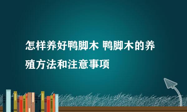 怎样养好鸭脚木 鸭脚木的养殖方法和注意事项