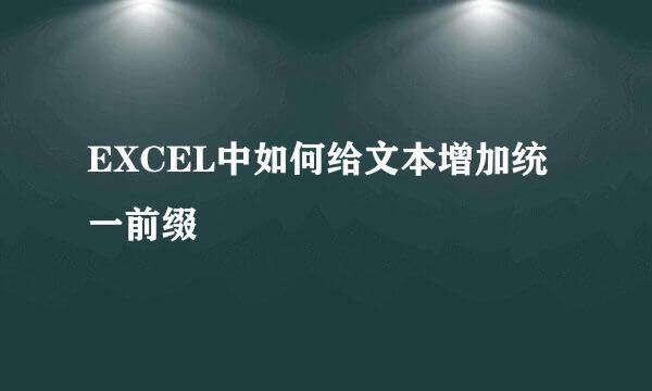 EXCEL中如何给文本增加统一前缀