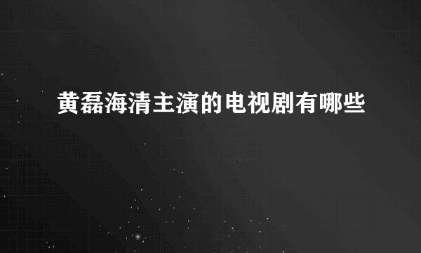 黄磊海清主演的电视剧有哪些
