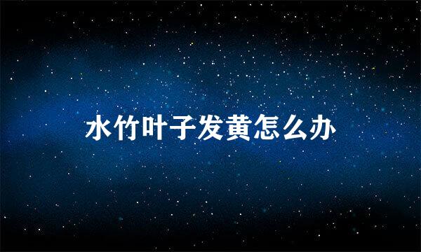 水竹叶子发黄怎么办