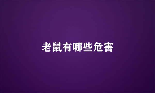 老鼠有哪些危害