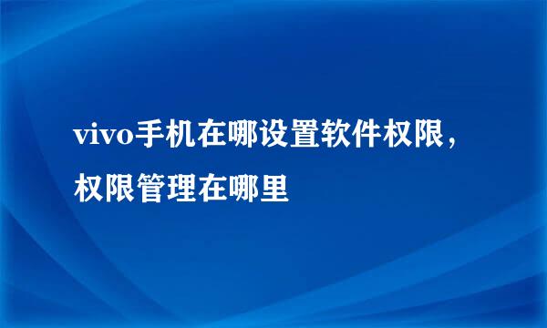vivo手机在哪设置软件权限，权限管理在哪里