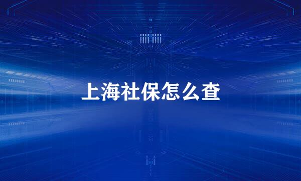 上海社保怎么查