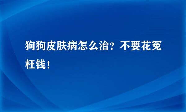 狗狗皮肤病怎么治？不要花冤枉钱！