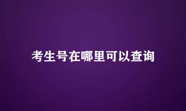 考生号在哪里可以查询