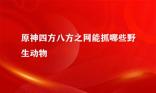原神四方八方之网能抓哪些野生动物