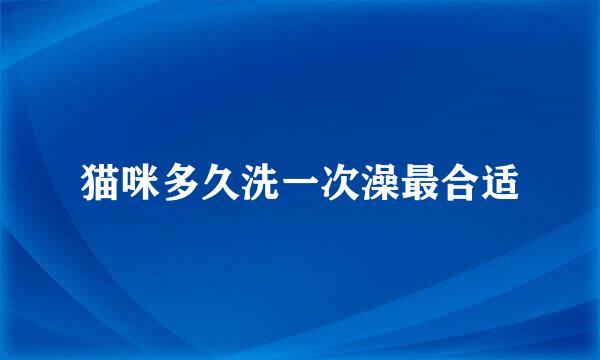 猫咪多久洗一次澡最合适