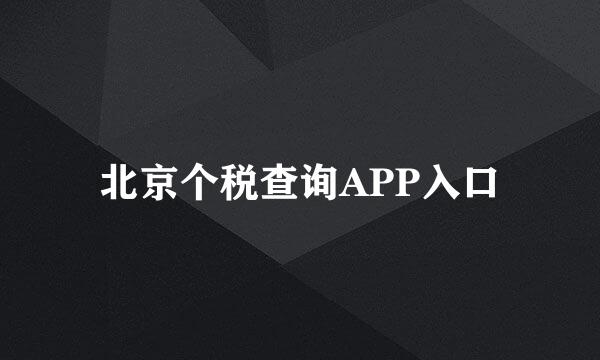 北京个税查询APP入口