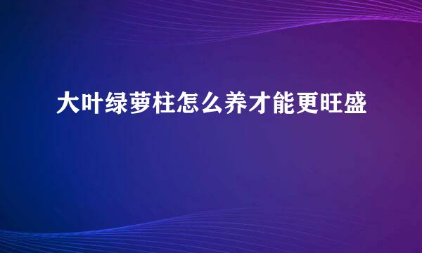 大叶绿萝柱怎么养才能更旺盛