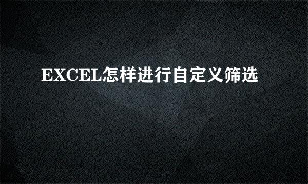 EXCEL怎样进行自定义筛选