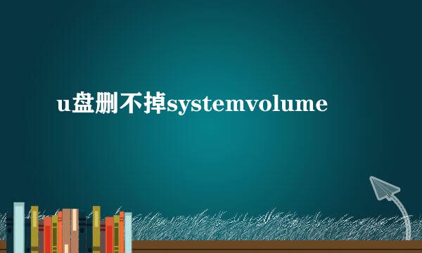 u盘删不掉systemvolume