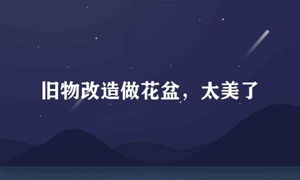 旧物改造做花盆，太美了
