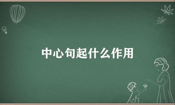 中心句起什么作用