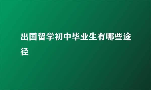 出国留学初中毕业生有哪些途径