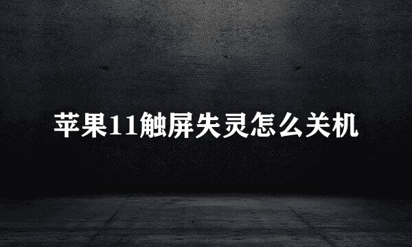 苹果11触屏失灵怎么关机