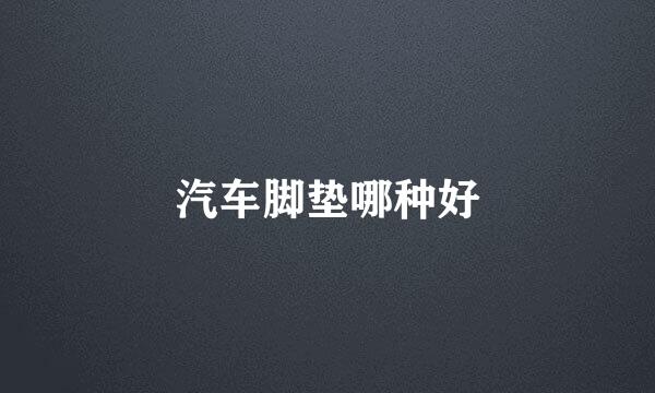 汽车脚垫哪种好